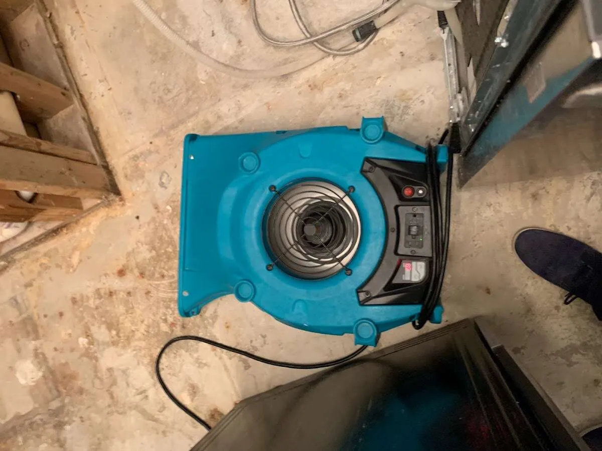 Air mover drying equipment for Mold Remediation & Removal in Wheelersburg
